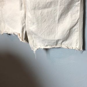 bdg darren canvas overall